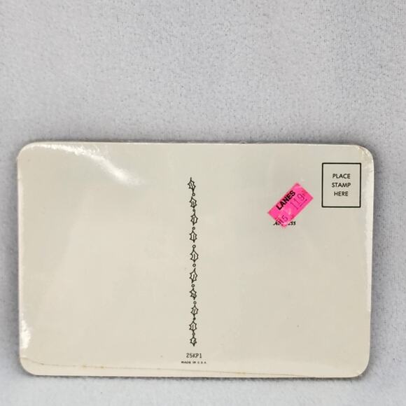 Vintage Christmas 18 Postcard Sealed Holiday Greetings RED Poinsettias Candles - Picture 4 of 4